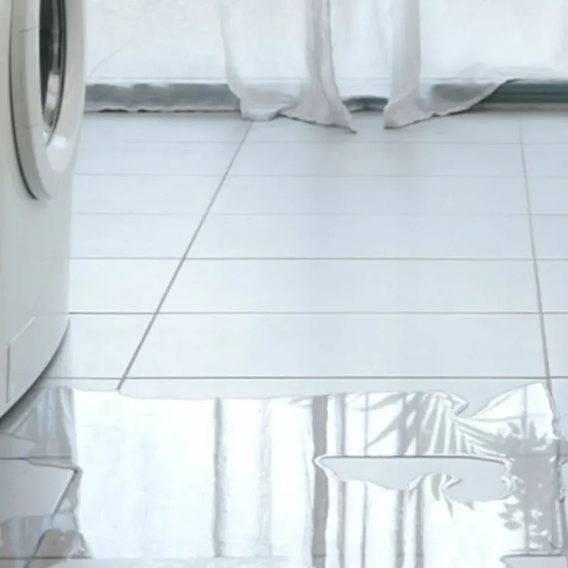 Appliance Leak Cleanup in Kansas City, MO