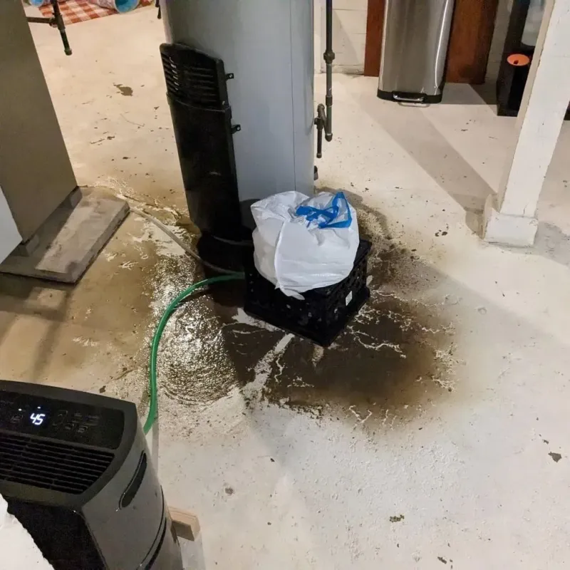 Sewage Backup Cleanup Service in Kansas City, MO